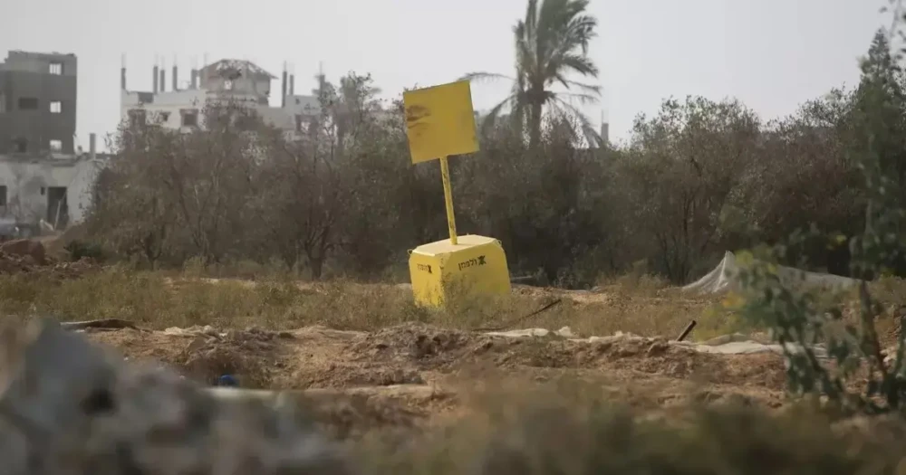 photo_٢٠٢٥-١٢-٠٩_١١-٤٦-٠٤ (2)